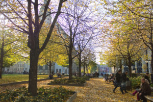 Herbst am Thomaskirchhof