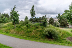 Foto vom Campus der Heide-Grundschule Bad Düben